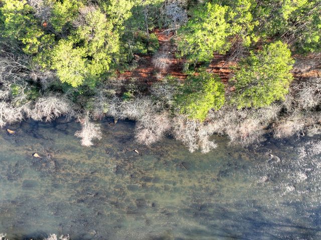 Lot 98 Woodland Bluff Lane, Mineral Bluff, GA 30559