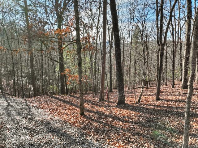 Lot 98 Woodland Bluff Lane, Mineral Bluff, GA 30559