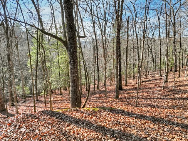 Lot 98 Woodland Bluff Lane, Mineral Bluff, GA 30559