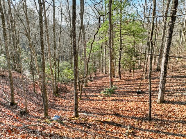 Lot 98 Woodland Bluff Lane, Mineral Bluff, GA 30559