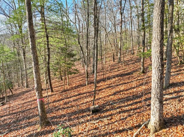 Lot 98 Woodland Bluff Lane, Mineral Bluff, GA 30559