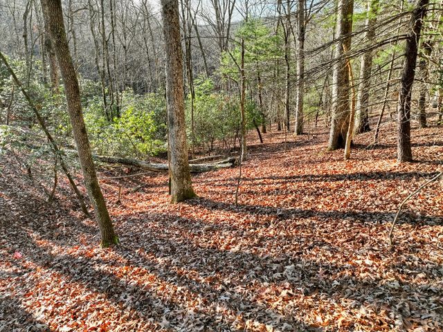 Lot 98 Woodland Bluff Lane, Mineral Bluff, GA 30559