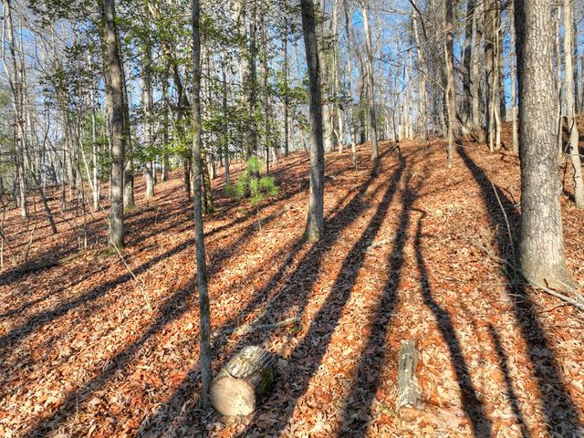 Lot 98 Woodland Bluff Lane, Mineral Bluff, GA 30559