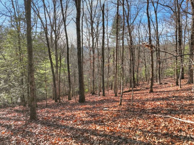 Lot 98 Woodland Bluff Lane, Mineral Bluff, GA 30559