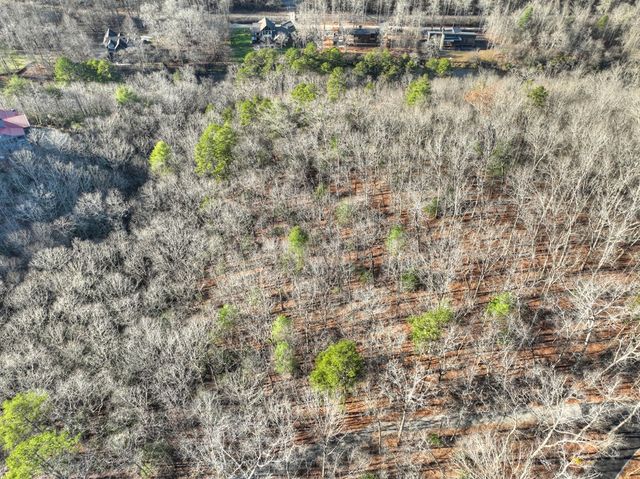Lot 98 Woodland Bluff Lane, Mineral Bluff, GA 30559