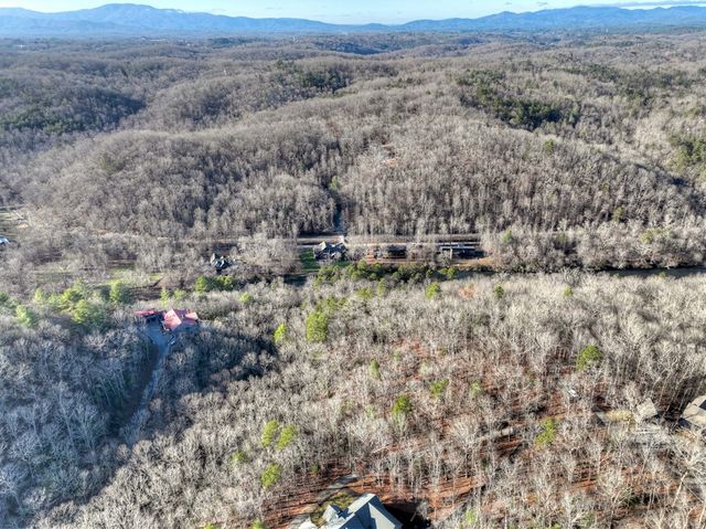 Lot 98 Woodland Bluff Lane, Mineral Bluff, GA 30559