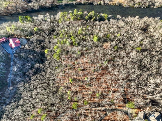 Lot 98 Woodland Bluff Lane, Mineral Bluff, GA 30559