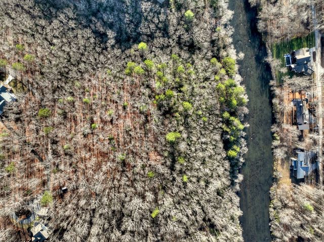 Lot 98 Woodland Bluff Lane, Mineral Bluff, GA 30559