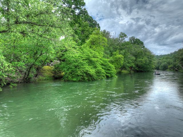 Lot 98 Woodland Bluff Lane, Mineral Bluff, GA 30559