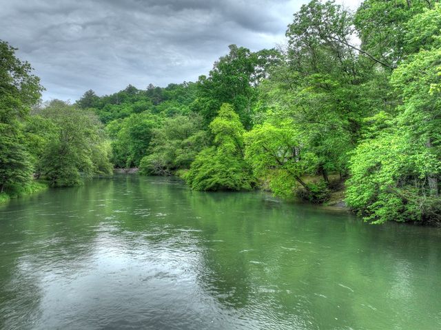 Lot 98 Woodland Bluff Lane, Mineral Bluff, GA 30559