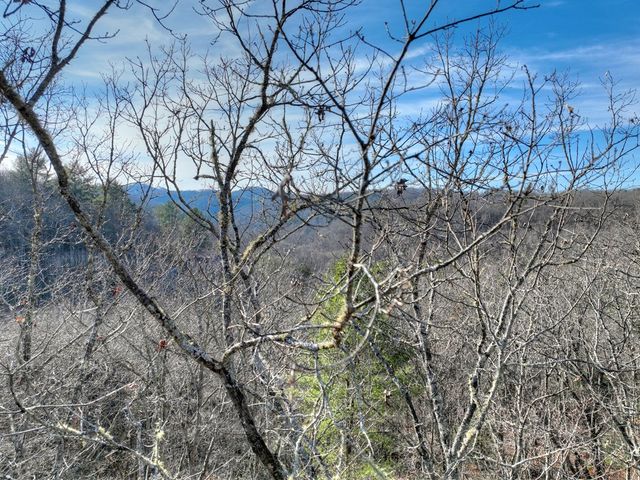 Lot 98 Woodland Bluff Lane, Mineral Bluff, GA 30559