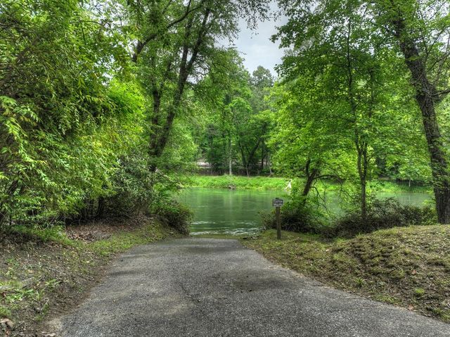 Lot 98 Woodland Bluff Lane, Mineral Bluff, GA 30559