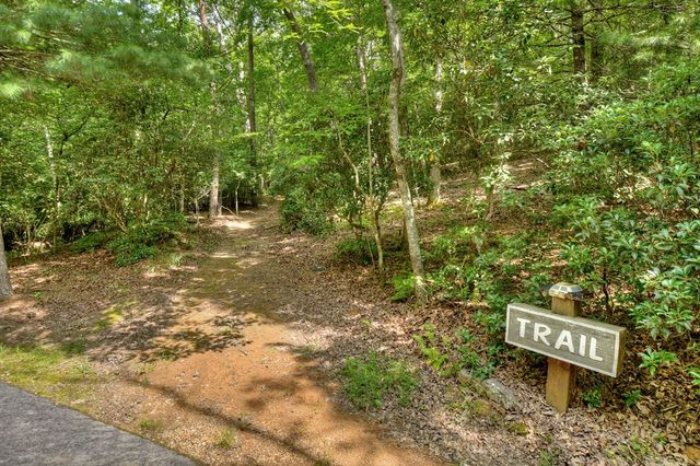 Lot 98 Woodland Bluff Lane, Mineral Bluff, GA 30559