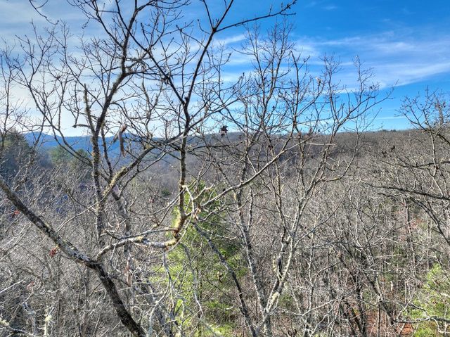 Lot 98 Woodland Bluff Lane, Mineral Bluff, GA 30559