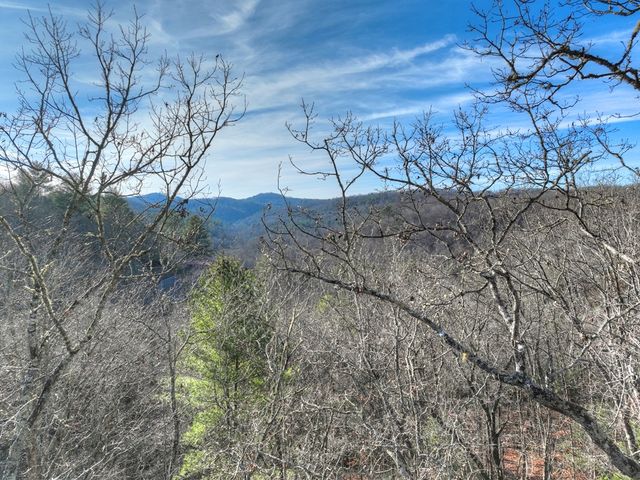 Lot 98 Woodland Bluff Lane, Mineral Bluff, GA 30559