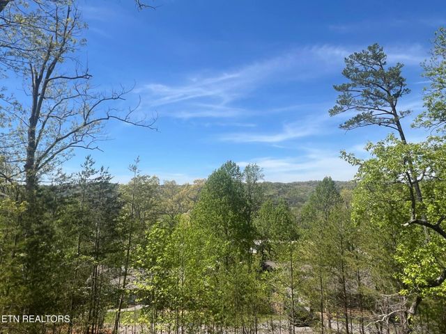 850 TRINITY VIEW CIRCLE Circle, Seymour, TN 37865