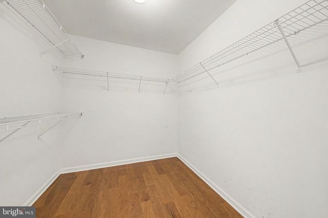 42514 PELICAN DR, Chantilly, VA 20152