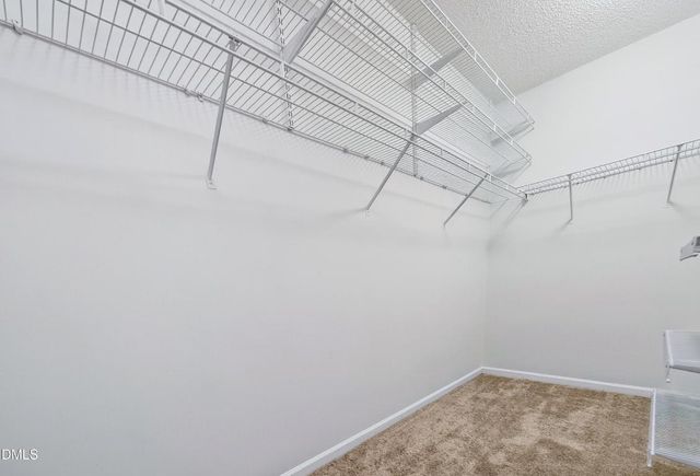 146 Swan Quarter Drive, Cary, NC 27519