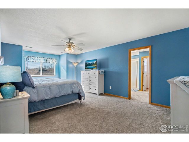 960 Norway Maple Dr, Loveland, CO 80538