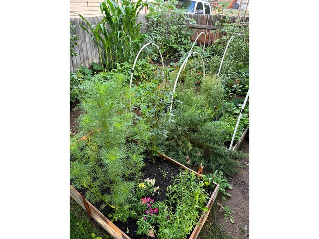 1840 Lyonesse St, Lafayette, CO 80026