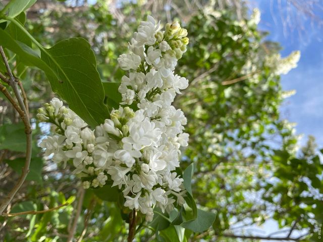 1840 Lyonesse St, Lafayette, CO 80026