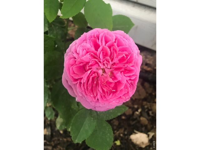 1840 Lyonesse St, Lafayette, CO 80026