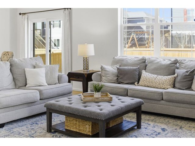 6807 Gateway Crossing St, Wellington, CO 80549