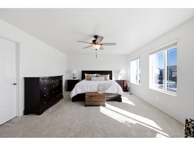 6807 Gateway Crossing St, Wellington, CO 80549