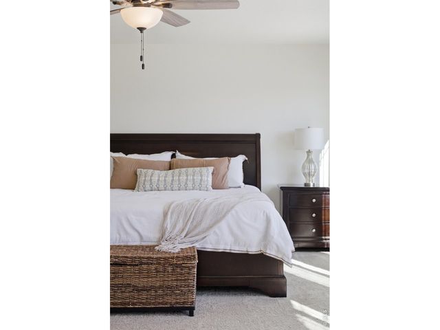 6807 Gateway Crossing St, Wellington, CO 80549