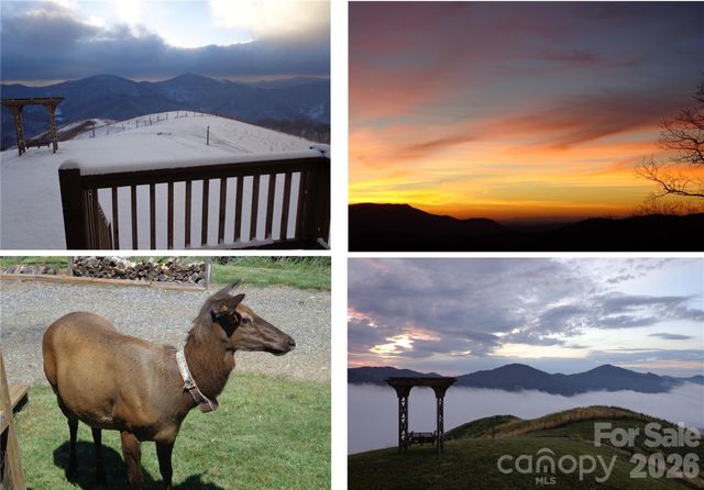 1007 Turkey Trot Road, Clyde, NC 28721