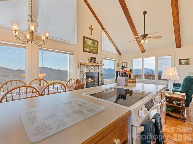 1007 Turkey Trot Road, Clyde, NC 28721