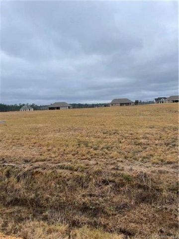 0 Kayleigh Drive, Longville, LA 70652