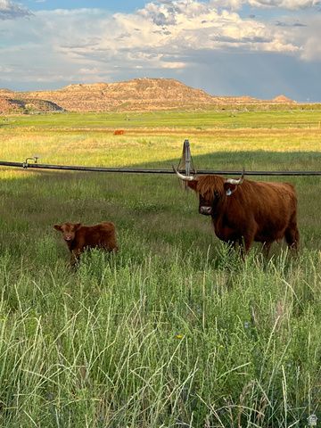 1745 N 11000 W, Bluebell, UT 84007