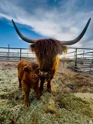 1745 N 11000 W, Bluebell, UT 84007