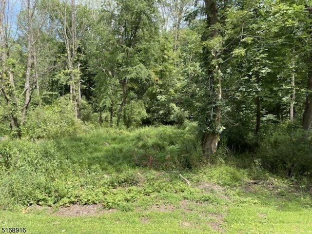 0 Rockport Rd, Wantage Twp., NJ 07461