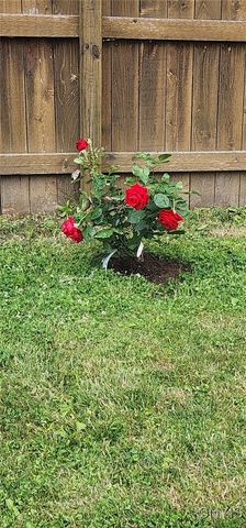 29 Belmont Avenue, Auburn, NY 13021