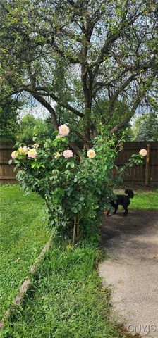 29 Belmont Avenue, Auburn, NY 13021