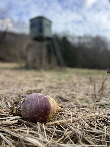 256 Lynchburg Hwy, Fayetteville, TN 37334