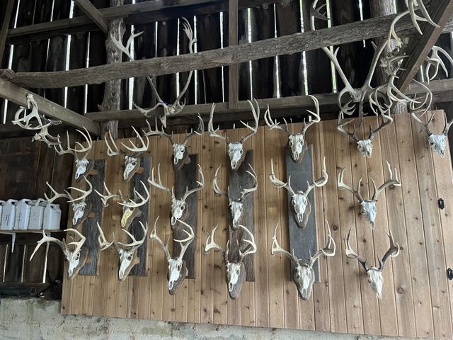 256 Lynchburg Hwy, Fayetteville, TN 37334