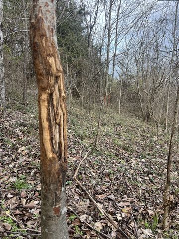 256 Lynchburg Hwy, Fayetteville, TN 37334