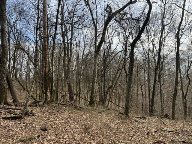 256 Lynchburg Hwy, Fayetteville, TN 37334