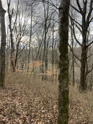 256 Lynchburg Hwy, Fayetteville, TN 37334