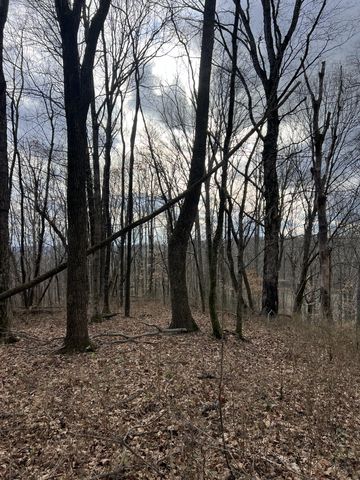 256 Lynchburg Hwy, Fayetteville, TN 37334