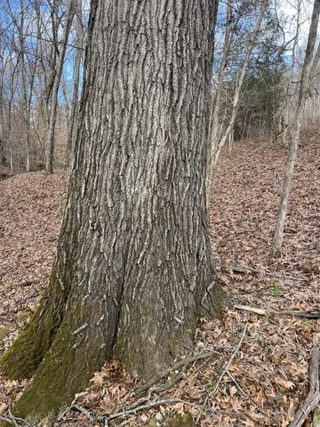 256 Lynchburg Hwy, Fayetteville, TN 37334