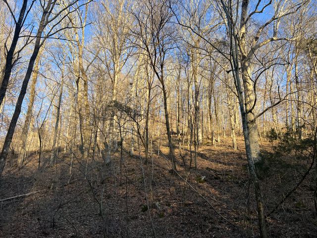 256 Lynchburg Hwy, Fayetteville, TN 37334