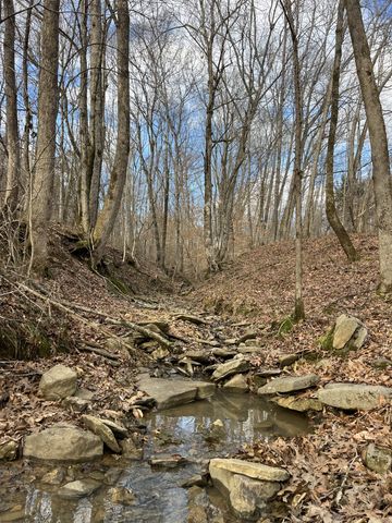 256 Lynchburg Hwy, Fayetteville, TN 37334