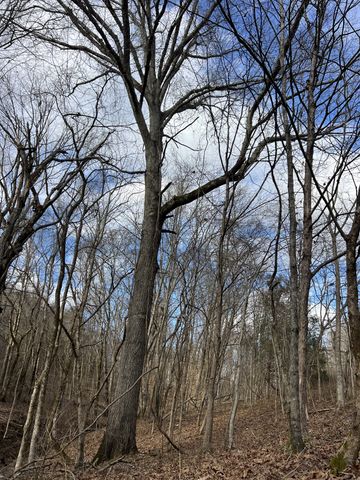 256 Lynchburg Hwy, Fayetteville, TN 37334