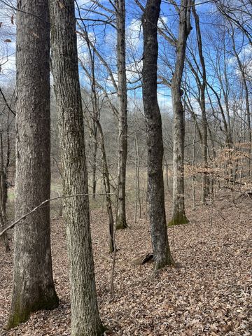 256 Lynchburg Hwy, Fayetteville, TN 37334