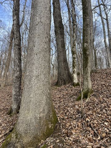 256 Lynchburg Hwy, Fayetteville, TN 37334