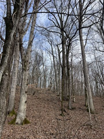 256 Lynchburg Hwy, Fayetteville, TN 37334